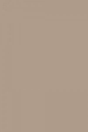 FARROW AND BALL DOVETAIL NO. 267 PAINT